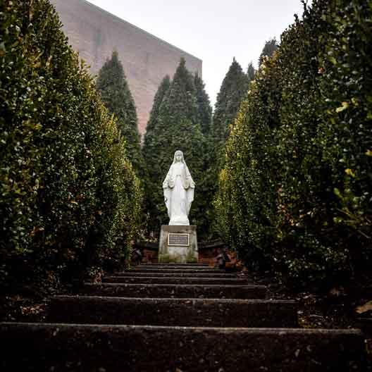 A statue of the Blessed Mother, surrounded by small trees